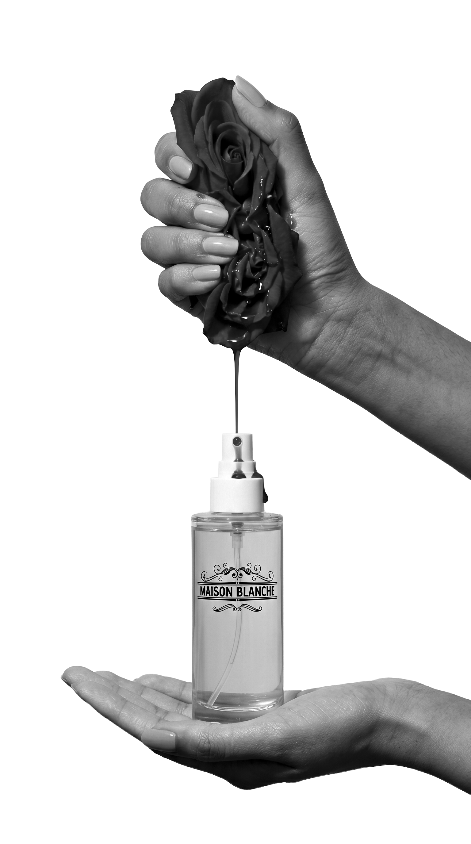 Produtos Maison Blanche